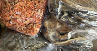 gửi quần áo đi Singapore