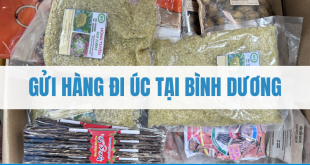 gửi đi Úc tại Bình Dương