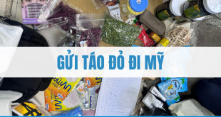Gửi táo đỏ đi Mỹ