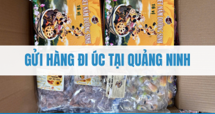 gửi hàng đi Úc tại Quảng Ninh