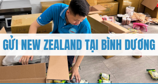 Gửi Hàng Đi New Zealand Tại Bình Dương